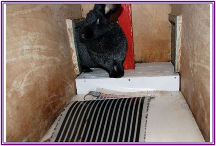 Încălzirea unui incubator pentru păsări de curte, găini, prepelițe - fotografia 7